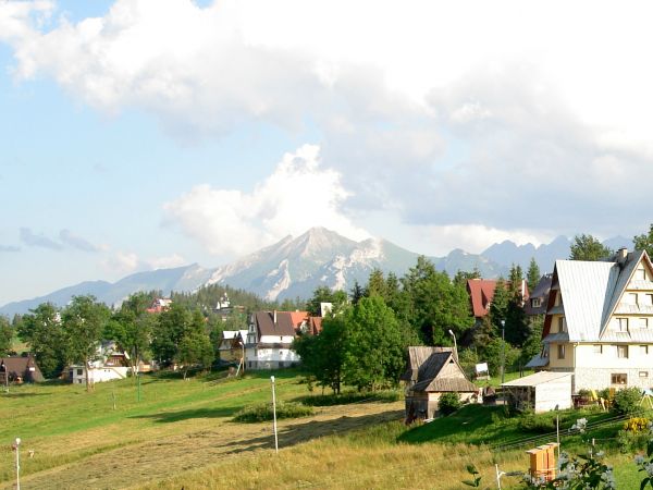 Bukowina Tatrzańska leży na wysokości od 860 do 1000 m n.p.m. (według innych źródeł 850–960 m n.p.m.) i jest położona na Pogórzu Spisko-Gubałowskim; liczy 2700