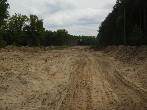 zdjecie Sulechów