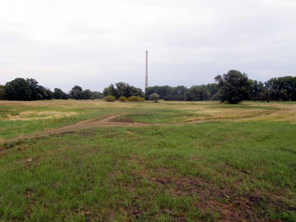 Alejki na między odrzu z widokiem na komin nieczynnej elektrocieplowni w widziszowie