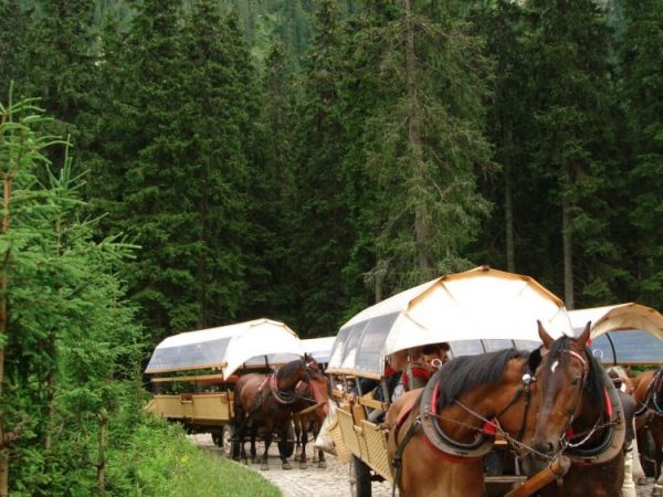 zdjecie Zakopane