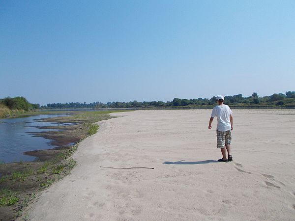 Brzostków na wiślanej muzycznej fali -"Droga którą idę jest jak pierwszy własny wiersz ..." -śpiewał wybitny Seweryn Krajewski z Czerwonych Gitar .W lecie które