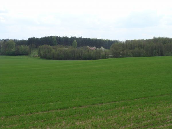 Najbliższa okolica:)