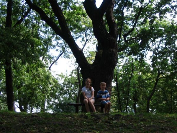 Wreszcie odpoczynek pod dębem na wzgórzu zamkowym