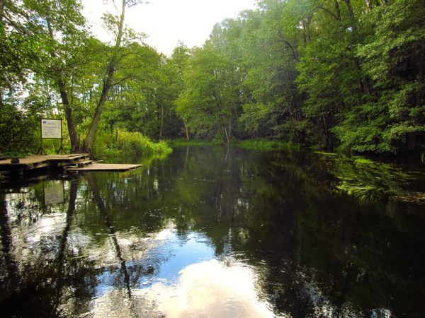 Rzeka Wda. Zdjęcie zrobione z kładki dla pieszych przy kajakarni.