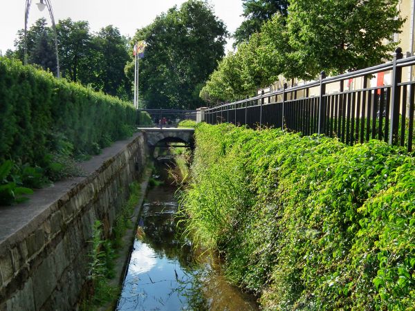 zdjecie Kudowa-Zdrój