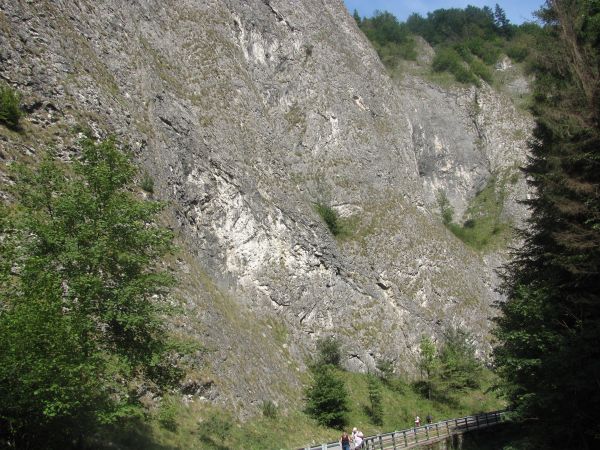 SŁOWACKIE PIENINY W DRODZE DO LESNICY