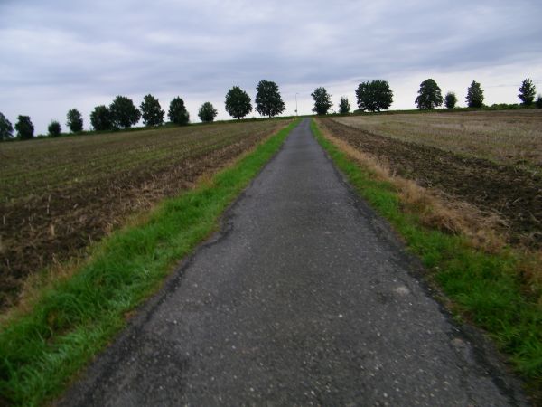 fragment wsi  pochwalę się wynikiem piłki nożnej Klasa A WKS Żarki Średnie 1 Pogoń Markocice 2 Markocicie mieli trochę szczęścia tak jak Żarki że więcej nie str