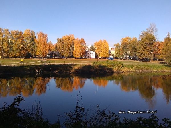 Poniatowa ul.Brzozowa - targowisko