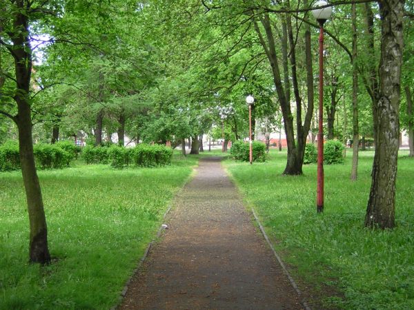 zdjecie Sulechów