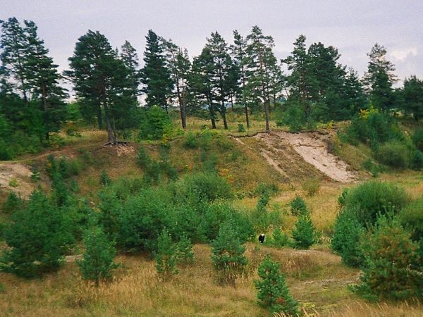 Waplewo Wielkie (Żwirki 2005 r)