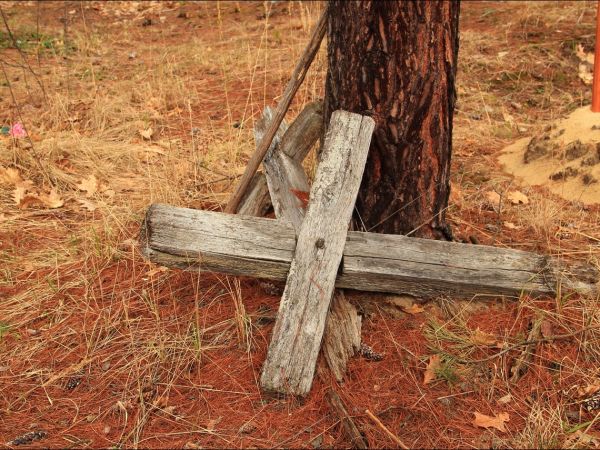 Stary cmentarz greckokatolicki przy cerkwi w Mołodyczu. Obecnie używany sporadycznie .
