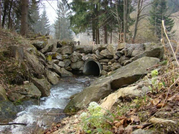 Potok Dziczek - u  wejścia do Śnieżnickiego Parku Krajobrazowego.