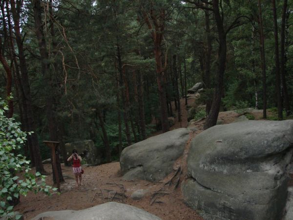 zdjecie Ciężkowice