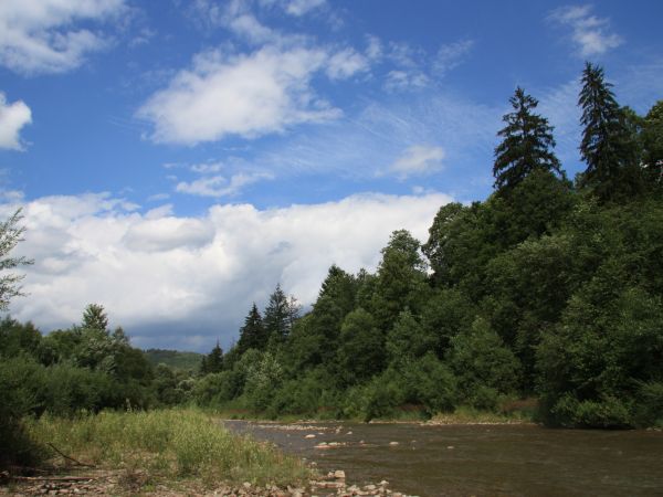 zdjecie Rycerka Dolna