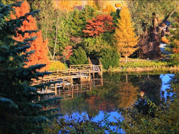 Arboretum w Bolestraszycach - jesienią.