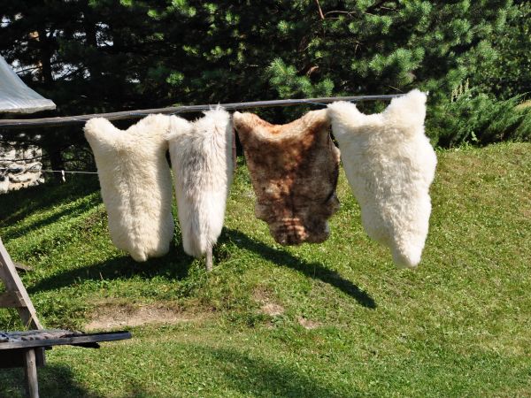 zdjecie Bukowina Tatrzańska