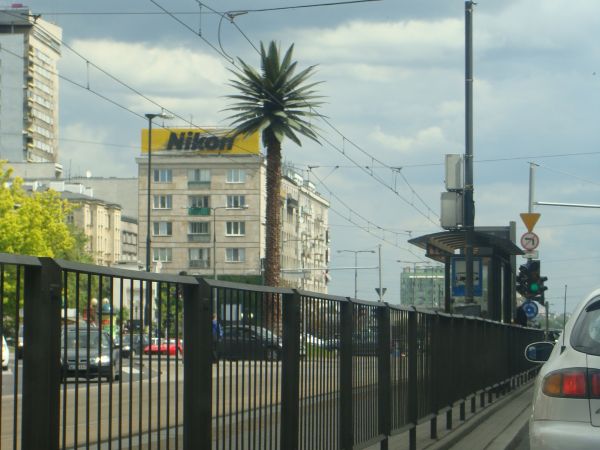 Palma na rondzie Charles'a de Gaulle'a. Warszawa, 10.05.2008 r.