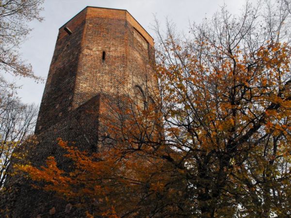 Baszta - Kazimierz Wielki