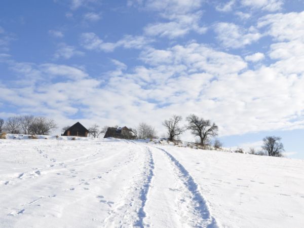 Wielogłowy pod górkę