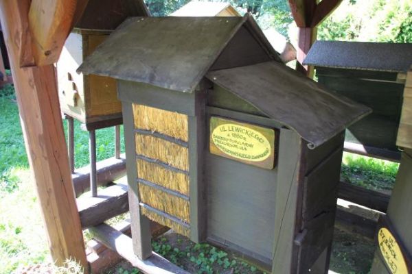 ule - prezentowane w plenerze Muzeum Pszczelarstwa.