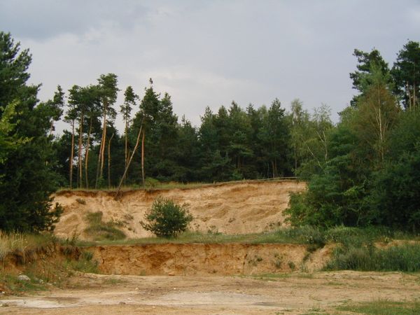 Wygiełdów, to była kiedyś duża góra - tradycyjne miejsce majówek i randek młodzieży - niewiele z niej już pozostało...