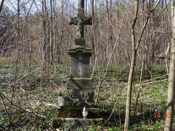 na cmentarzu wyznawców obrządku grecko-katolickiego, do czasu wysiedleń - mieszkańców tej wsi - duży płat barwinka stanowi poszycie leśne, cmentarne. Można mnie