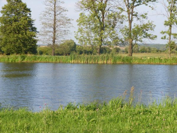 Gospodarstwo Swoboda stawy.....