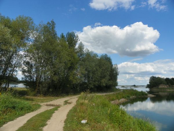 Jezioro Mietków -od strony Domanic