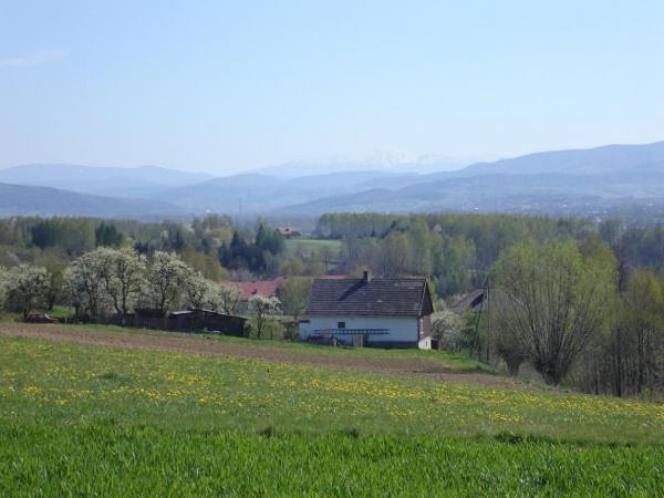 Panorama Beskidu Maego