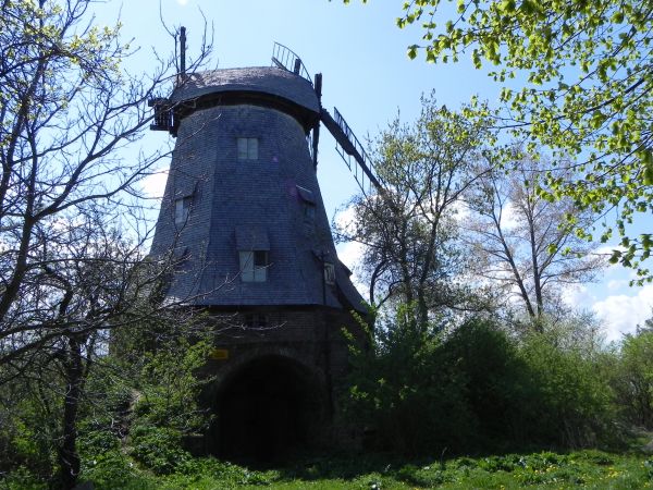 1.05.2011  Palczewo 16-wiatrak typu holenderskiego z polowy XIXw