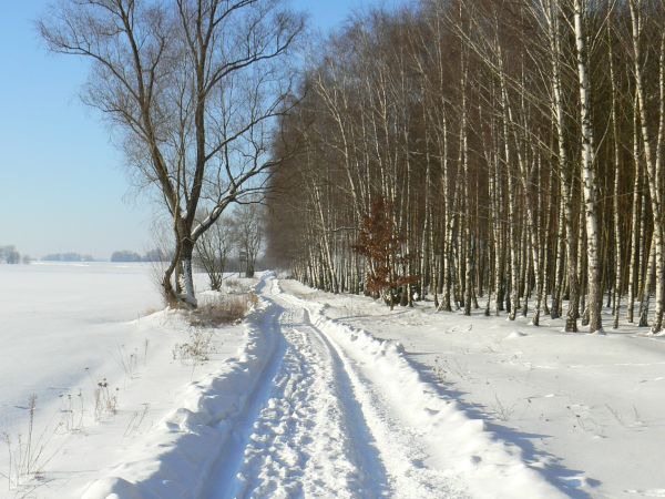 Zima 2009.Okolice Mąkowarska- droga na Kadzionkę.