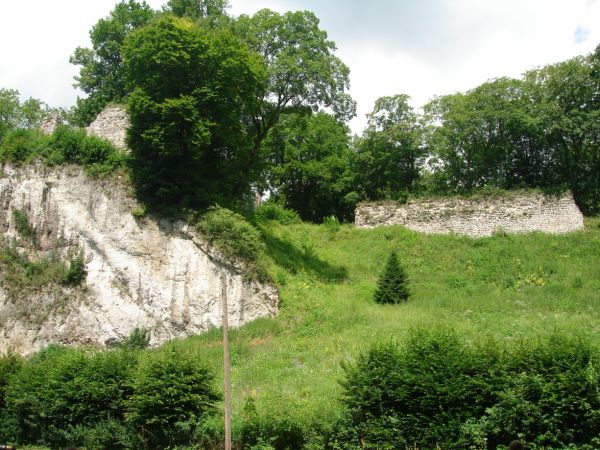 Zamek w Ojcowie, położony na terenie Ojcowskiego Parku Narodowego, w centrum Ojcowa, był zamkiem warownym wzniesionym przez Kazimierza Wielkiego w II połowie XI