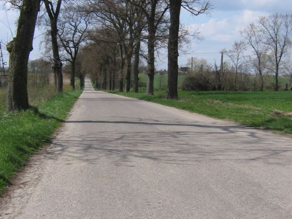 Poranek na łące we Wszedniu