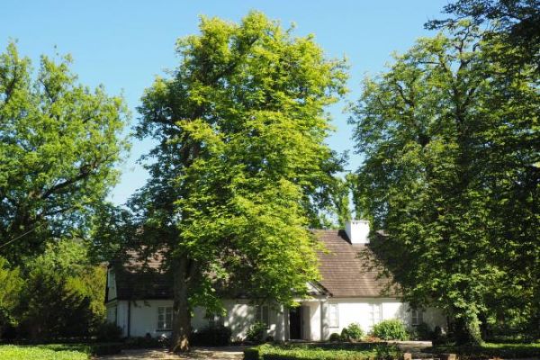 od bramy głównej prowadzącej na posiadłość dworsko-parkową - widok na Dworek Chopina.