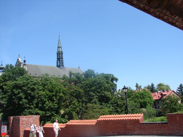 zdjecie Sandomierz