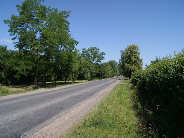 zdjecie Dębowa Góra