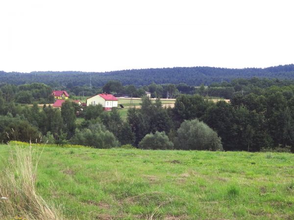 W drodze z Ośrodka wypoczynkowego z Belnej Górnej do Biecza.