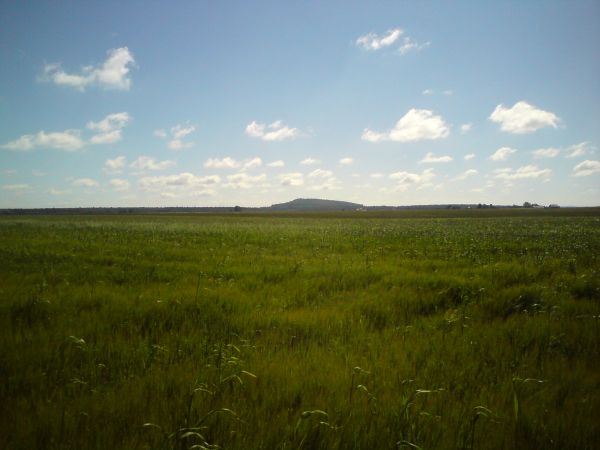 Widok na górę Chełmo