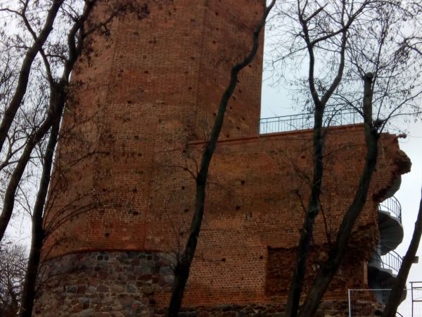 Ruiny zamku z pozostałą Mysią Wieżą