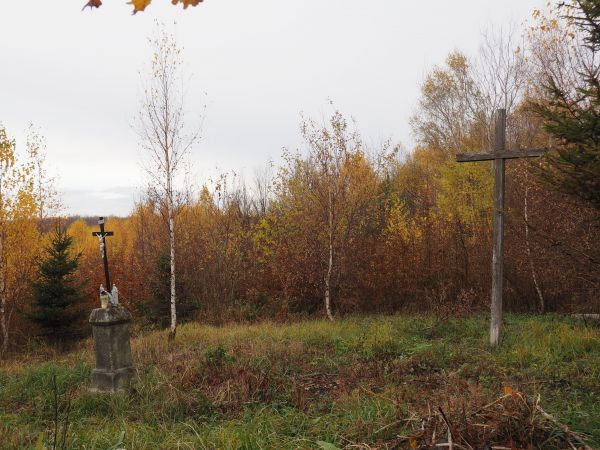 na cmentarzu cholerycznym, n/z po prawej na skraju przecinki leży kloc - to powalony słup krzyża, co spróchniał na wysokości wkopania bezpośrednio w glebę i z t