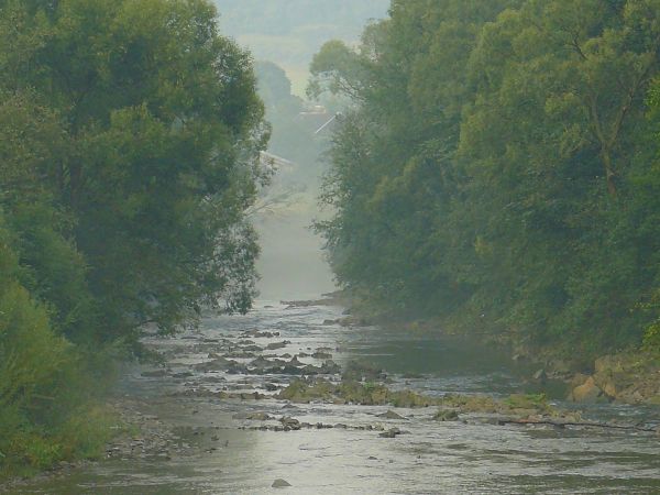 Niepozorna tutaj rzeka Wisłoka