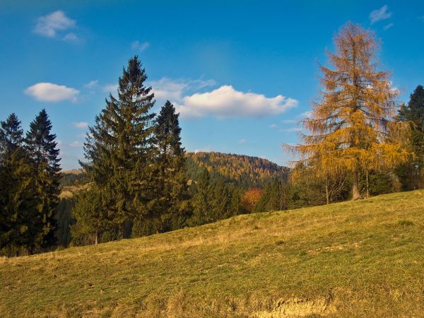 REZERWAT BIAŁA WODA