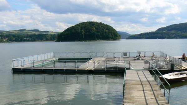 Tzw WYSPA PTAKOW (zakaz wstepu,scisly rezerwat ptactwa)