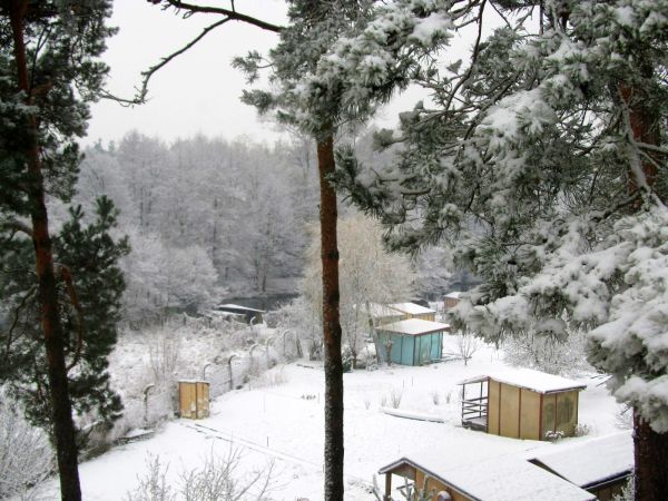 Zimowa sceneria terenu przy ulicy Mickiewicza, nad rzeką Wdą, oraz przy budynku Urzędu Miejskiego. Nad rzeką widać altanki ogrodowe na zespole ogródków działkow