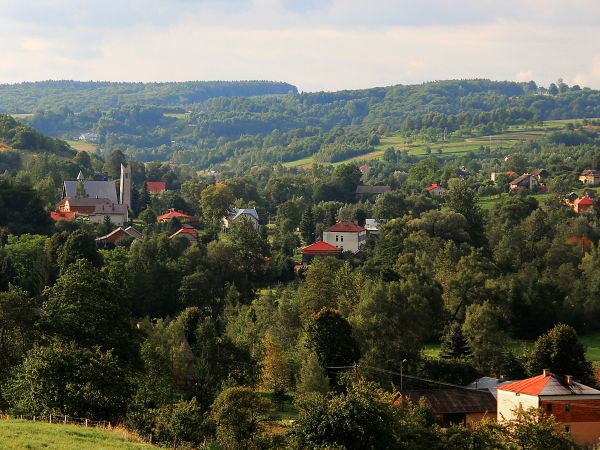 Błędowa Tyczyńska-widok