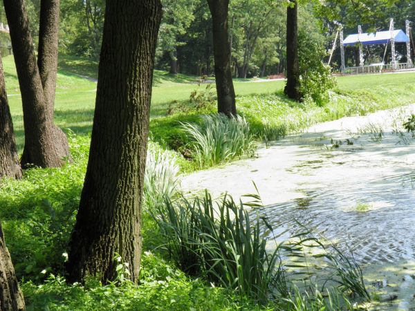 Park i Pałac z lat 1817-1819, powstały wg. projektu Magdaleny z Dzieduszyckich Morskiej przy pomocy Chrystiana Piotra Aignera i budowniczego Fryderyka Baumana.