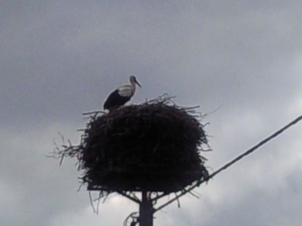 zdjecie Pieczyska Łowickie