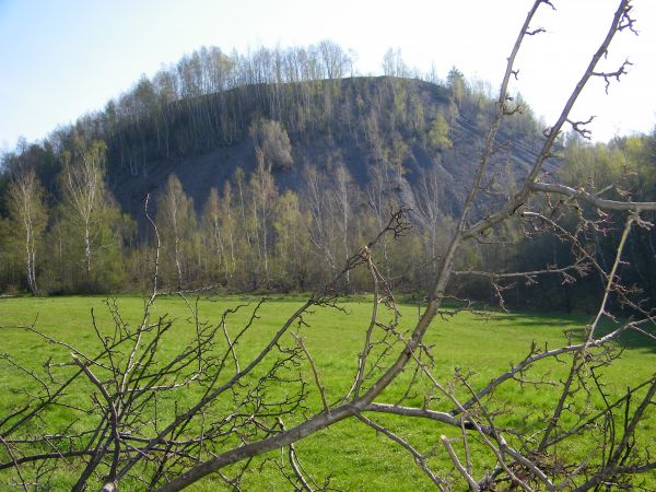 Wałbrzych