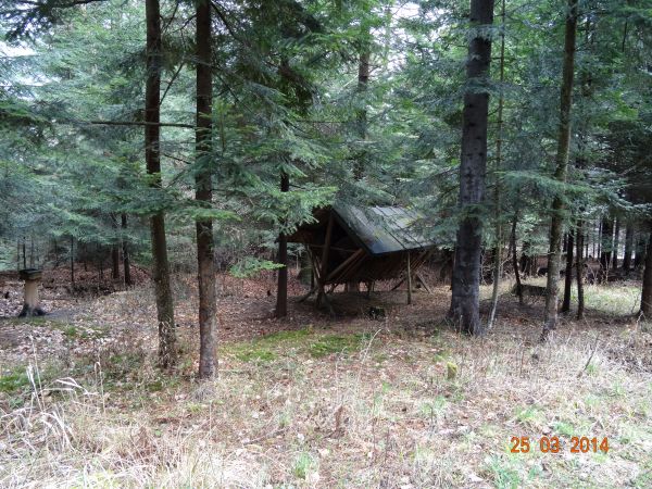 paśnik - przy trasie ścieżki a przy okazji: leśnicy pień drzewa liściastego nazywają - kłoda a iglastego - strzała.