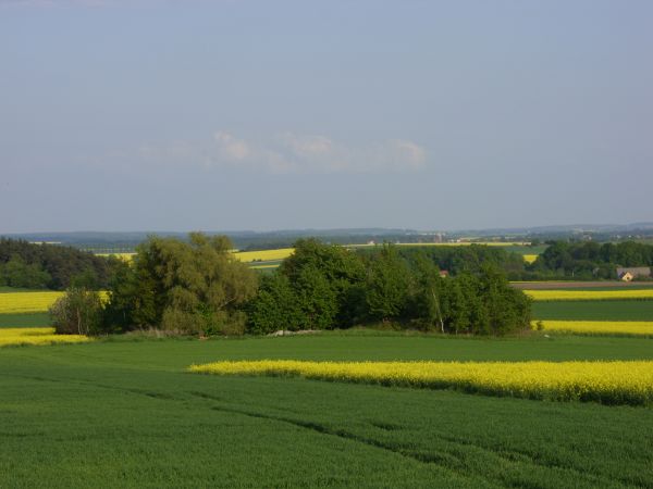 Majowy spacer polnymi drogami ;)
Weronika S.